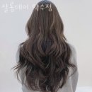 살롱데이 이미지