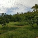 감돈축산 이미지