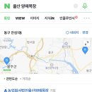 법인포니랜드