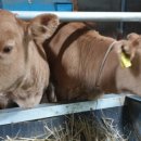 상북못안체험 휴양마을 이미지