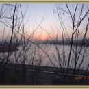 달맞이봉(공원) 이미지