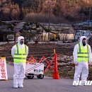 판이농장 이미지