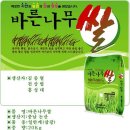 벼나무 Daum카페