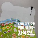 리틀에듀놀이연구소 | 6개월 아기 장난감 추천, 딩동에듀 리틀빈 자석보드 내돈내산 소근육 발달 놀이