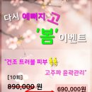예뻐지Go 네이버블로그