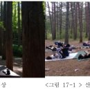 치유, 명상의 숲 Daum카페