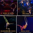 중앙공원 매점 앞 공중화장실 | [공지] 태양의 서커스 쿠자 후기 | 아찔한 곡예의 세계 200% 연말 공연 즐기기 관람 전 필독