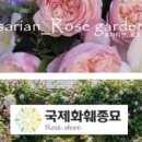 로자리안 이미지