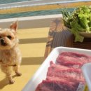 모래실펜션 이미지