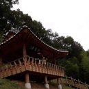 금오반점