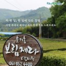 보림제다 이미지