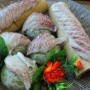 오늘은 회 이미지