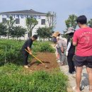 평택시 농업생태원1 이미지