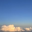 예승메디칼 | 카타르항공 승무원채용 조이닝 타임라인 🇶🇦🫶🏻