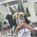 다루헤어 이미지