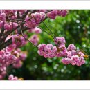 운서초등학교 이미지