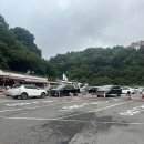 제주 천지연 담팔수 자생지 | 서귀포 가볼만한곳 ‘천지연폭포’ / ‘새연교’ 뚜벅이 산책코스