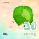 나포중학교 | 27W~31W 임신일기👼🏻🤍