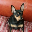 주안3동 이미지