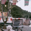 캠프 에이프릴(Camp April) 이미지