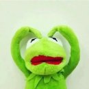 신다팩 이미지