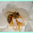 맥도널드앞 | 강남구 입시교육 미래탐구 미래탐구 대치 고등 본관 체계적 학습 환경 제공