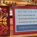빙고 애견카페 이미지