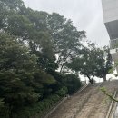 순환로 | 남산러닝 남산둘레길 북측순환로 업힐 코스 후기(+남산돈까스)