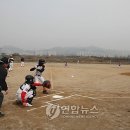 수성구 리틀야구장 연합뉴스