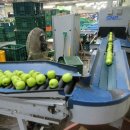 안동농협농산물공판장 | 안동농협 농산물 공판장을 찾아