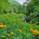 도사곡휴양림야영장 이미지