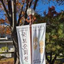 삼척시립박물관 | ✨ 삼척시립박물관, 황금빛 신라 장식구 보러 갔다가 시간 멈춘 줄 알았던 후기