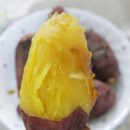 대봉감 .호박 고구마.알뜰 고구마 할인 이미지