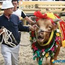 범이네 Daum카페