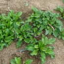 대명농자재 이미지