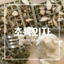 초록의자 | 초록의자-강원도 횡성 호밀밭 뷰 카페