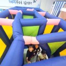 대성태권도 자이점 이미지