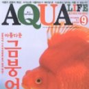 아쿠아라이프 이미지