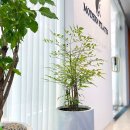 우면삼성프라자-2 이미지