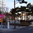서애대학문화거리 이미지