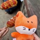 쏭쏭이네 이미지