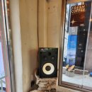 베얼스이얼스(Bear's ears) 이미지