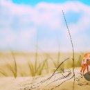 한국 도자기의 역사 이미지