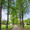 성호공원 야외무대 화장실 이미지