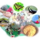 곤충생태관_1 이미지