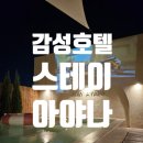 스테이아야나(STAY AYANA) | 루프탑 파티 로망 실현하는 대전숙소 스테이아야나