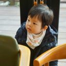 토리샘 네이버블로그