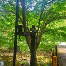 내장산국립공원화장실(천하대장군) 이미지