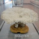 옥빛 바다와 200개 섬이 풍경화를 그리는 완도(莞島) 이미지