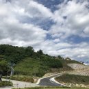 서원35호 Daum카페